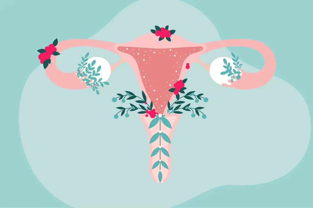 Illustration of a uterus with floral elements, representing the impact of Hormone Replacement Therapy (HRT) on women's health during perimenopause and menopause. HRT, including estrogen and progesterone treatments, helps alleviate symptoms like hot flashes, night sweats, mood swings, and prevents bone loss and endometrial hyperplasia. This image supports discussions on the benefits and risks of HRT, including alternatives and side effects.