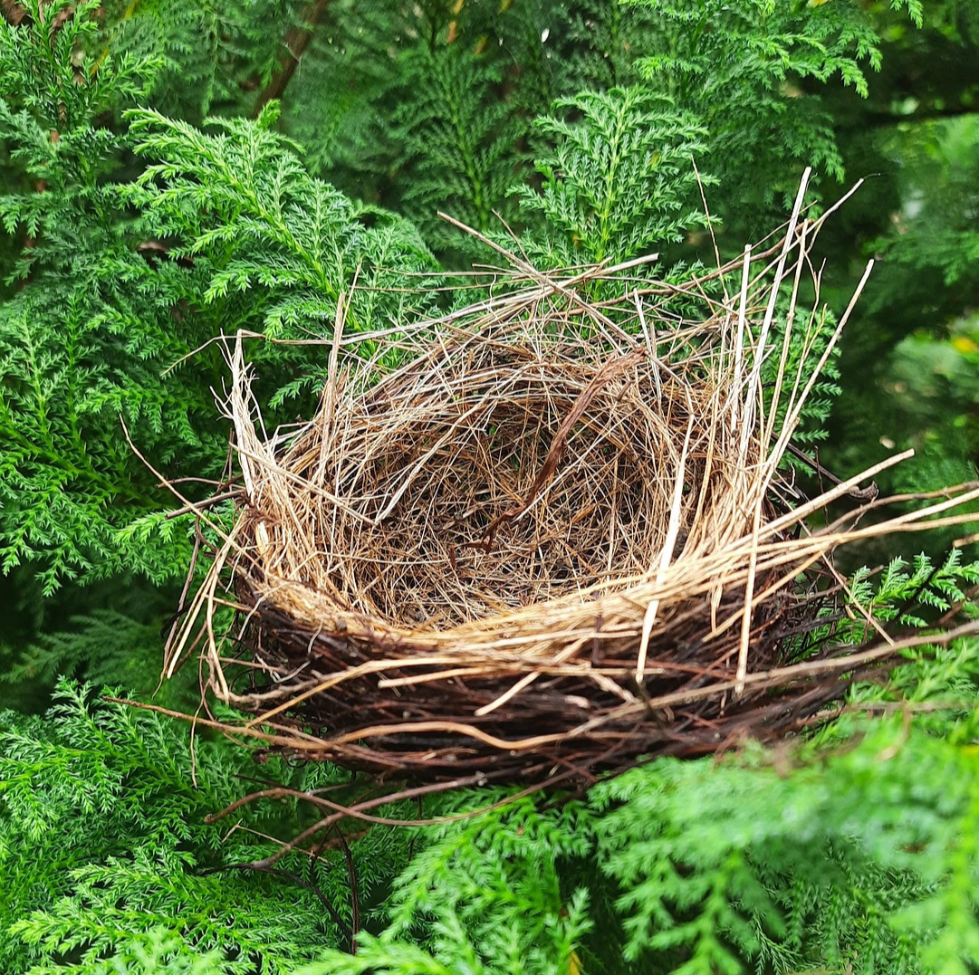 The Nest May Be Empty, But Your Relationship Doesn’t Have to Be