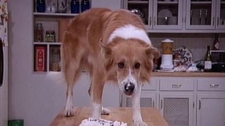 MAd About You thanksgiving: Season 3, Episode 8: “Giblets for Murray”