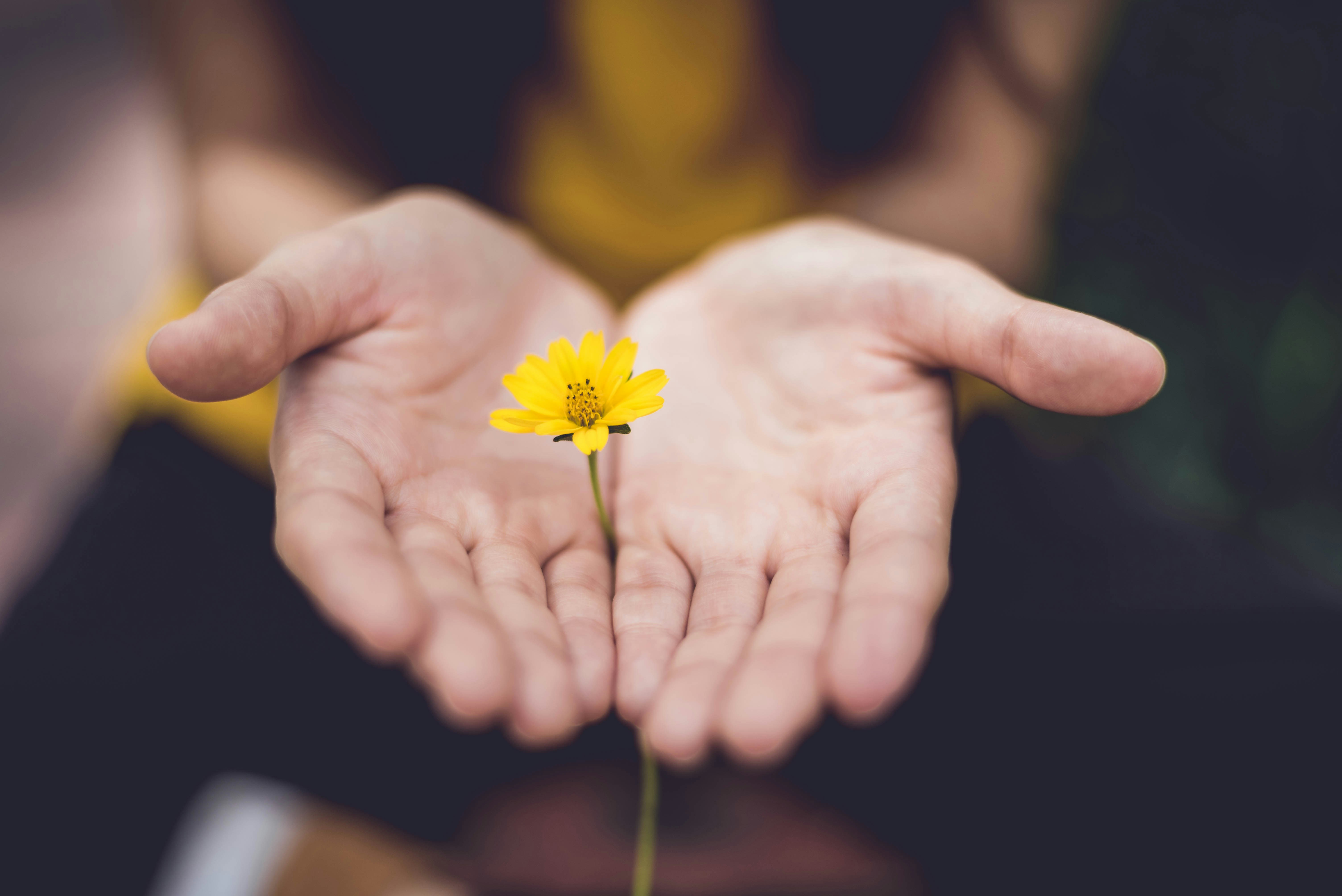 A Personal Journey to Meditation