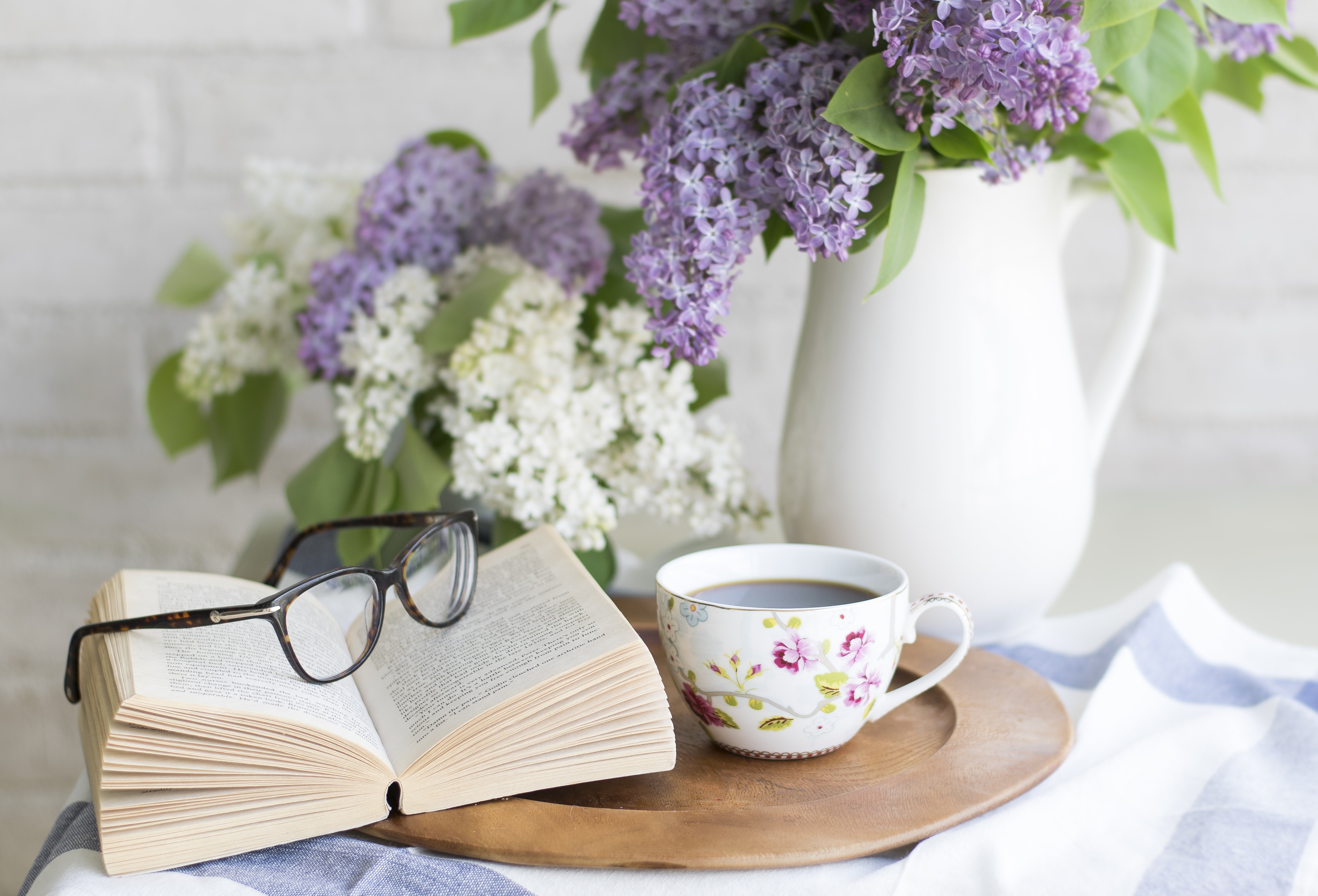 Spring Book Picks: Fresh Reads for Women Who Love Stories with Heart